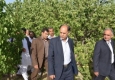 استاندار سیستان و بلوچستان از ظرفیت‌های مختلف کشاورزی و گردشگری خاش بازدید کرد