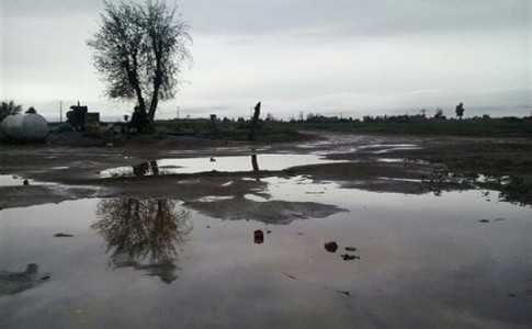 بارش باران بهاری در جنوب سیستان و بلوچستان+ تصاویر