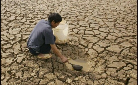 نیمی از استان های کشور درگیر کم آبی و بی آبی/ گرمای تابستان عطش جنوبی ها را نمایان ساخت