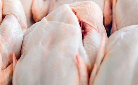 قیمت مرغ را چگونه می توان کاهش داد؟